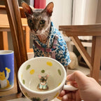 🐾 Custom 3D Pet Climbing Mug – Handmade Ceramic Dog Figurine Cup (350ml)