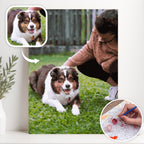 Paint My Pet by Numbers - Personalized Pet Portraits