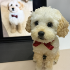 Custom Realistic Pet Clone – Handcrafted 3D Twist-Wool Sculpture (20cm/8inch Nose-to-Butt)